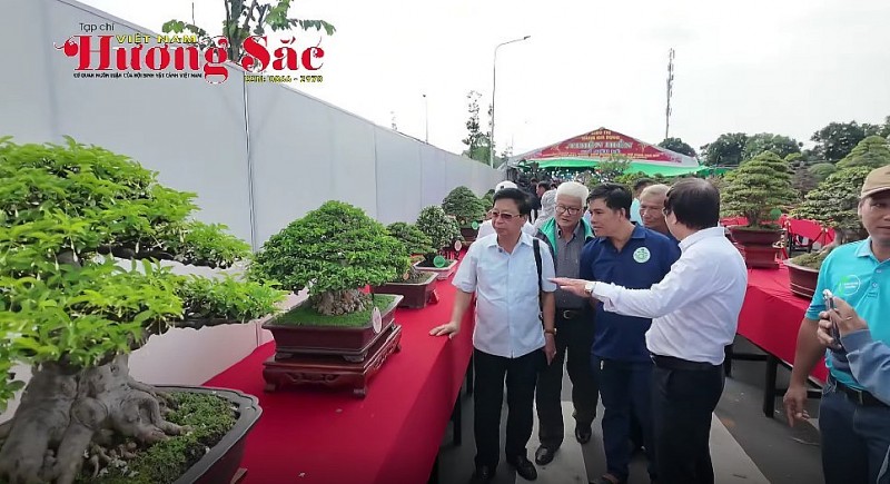 Ngành hoa- cây cảnh trước cơ hội lớn: Cần gỡ nút thắt về chính sách và thủ tục xuất – nhập khẩu
