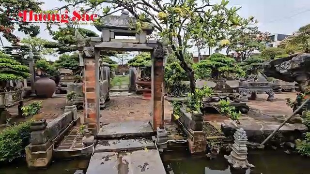 Giữ hồn đá cổ, tôn vinh bonsai nghệ thuật tại khu vườn của nghệ nhân Hưng Yên