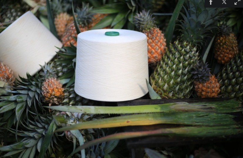 Ứng dụng công nghệ biến lá dứa thành sợi dệt may: Bước đột phá “xanh” từ phế phẩm nông nghiệp
