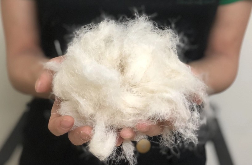Ứng dụng công nghệ biến lá dứa thành sợi dệt may: Bước đột phá “xanh” từ phế phẩm nông nghiệp