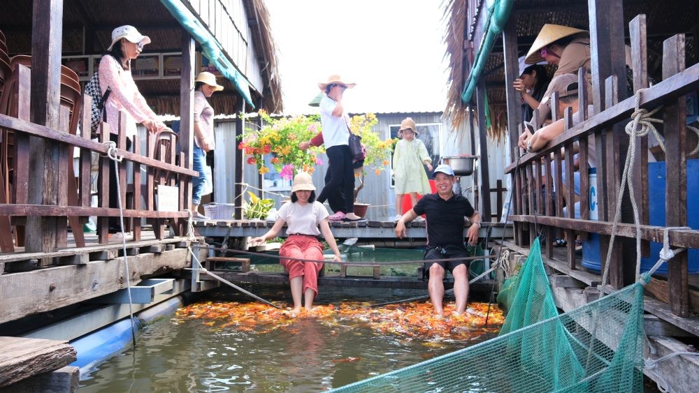 Mát xa chân bằng cá: Trào lưu du lịch sinh thái hút khách ở miền Tây