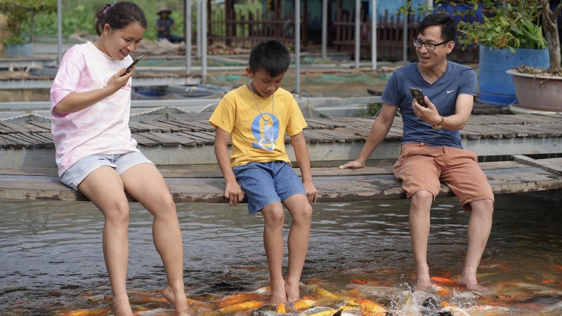 Mát xa chân bằng cá: Trào lưu du lịch sinh thái hút khách ở miền Tây