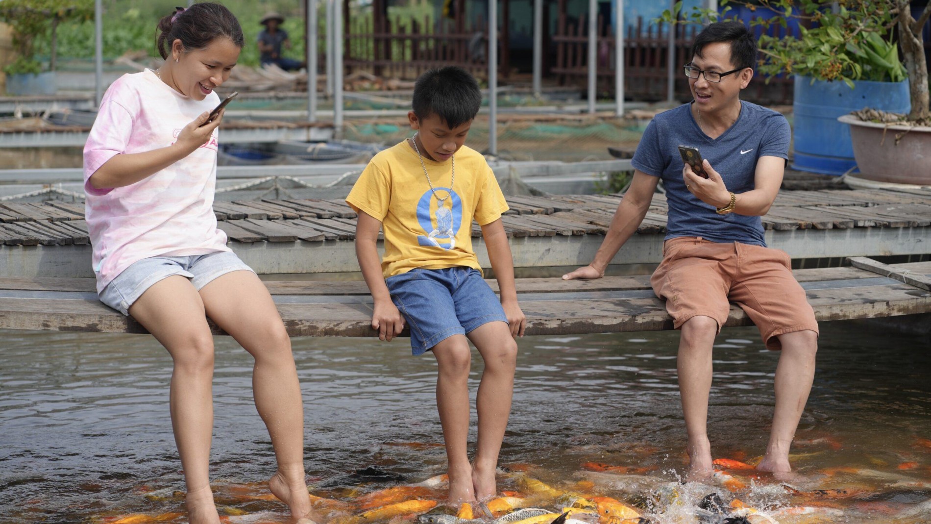 Mát xa chân bằng cá: Trào lưu du lịch sinh thái hút khách ở miền Tây
