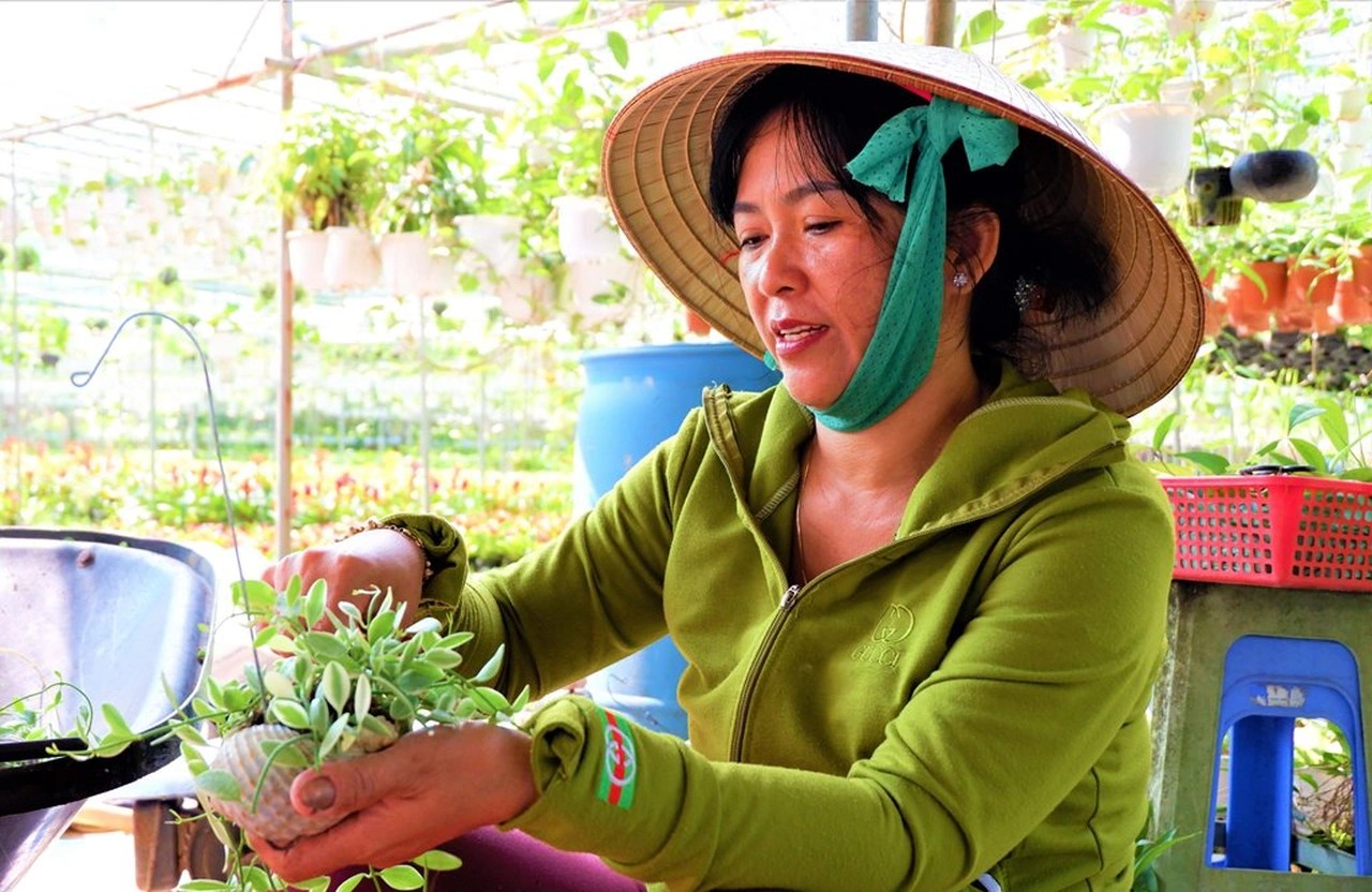 Nông dân trồng hoa đổi đời: Từ vườn nhỏ đến cơ ngơi bạc tỷ mỗi năm