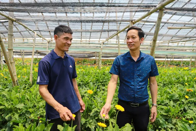 Nông dân trồng hoa đổi đời: Từ vườn nhỏ đến cơ ngơi bạc tỷ mỗi năm