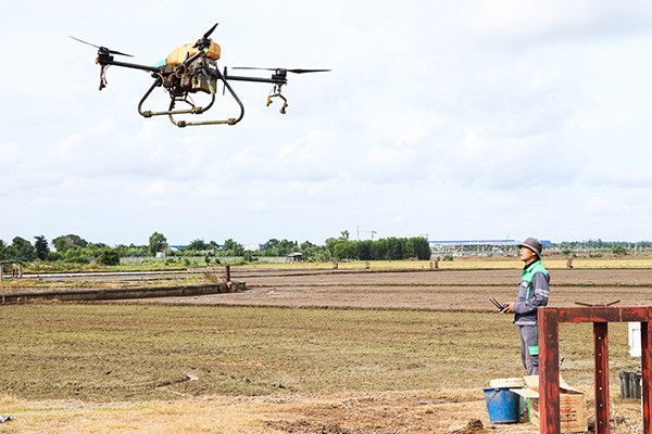 Drone thay người xuống ruộng: Nông dân tiết kiệm chi phí, tránh xa hóa chất độc hại