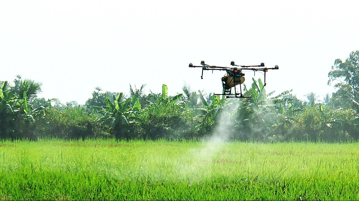 Drone thay người xuống ruộng: Nông dân tiết kiệm chi phí, tránh xa hóa chất độc hại