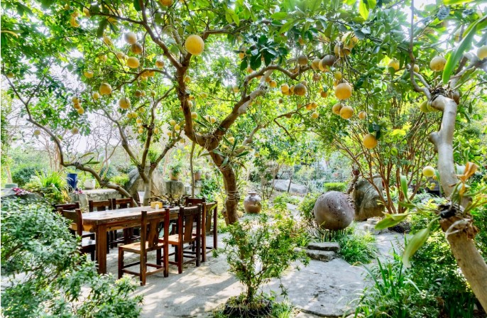 Lá phổi sinh thái mang tên Công viên Thực vật cảnh Việt Nam