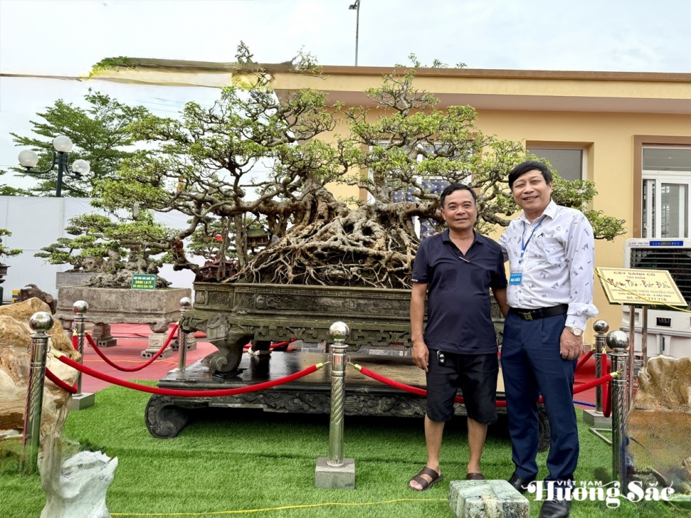 Nghệ nhân Nguyễn Văn Vân và cây xanh quê trăm tuổi: Dấu thời gian in trên gân rễ