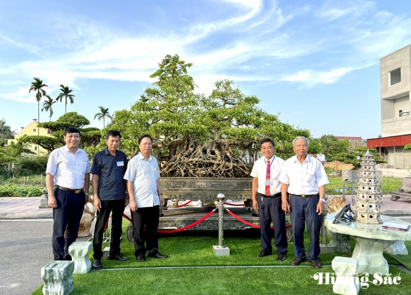 Nghệ nhân Nguyễn Văn Vân và cây xanh quê trăm tuổi: Dấu thời gian in trên gân rễ