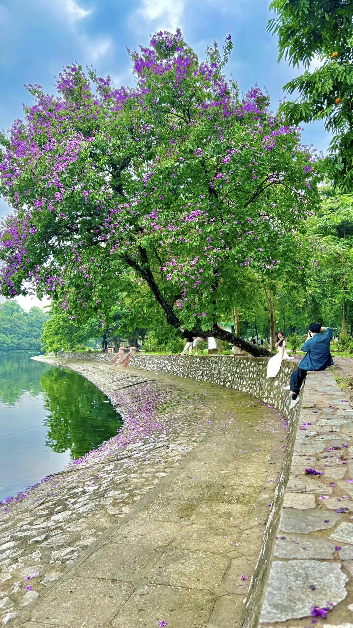 Không gian xanh đô thị: Cây hoa có thể làm nên một thành phố đẹp đến mức nào?