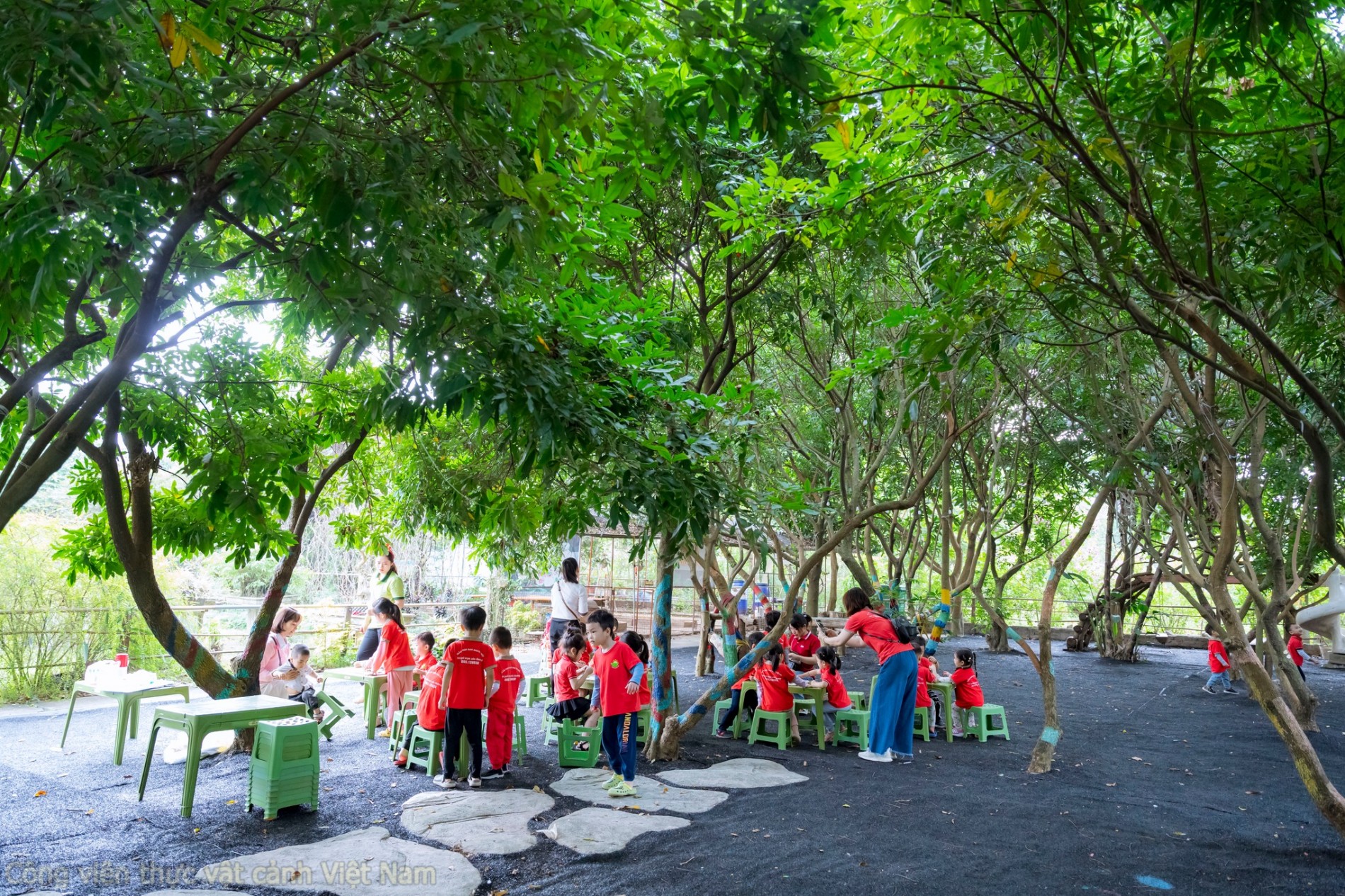 Lá phổi sinh thái mang tên Công viên Thực vật cảnh Việt Nam