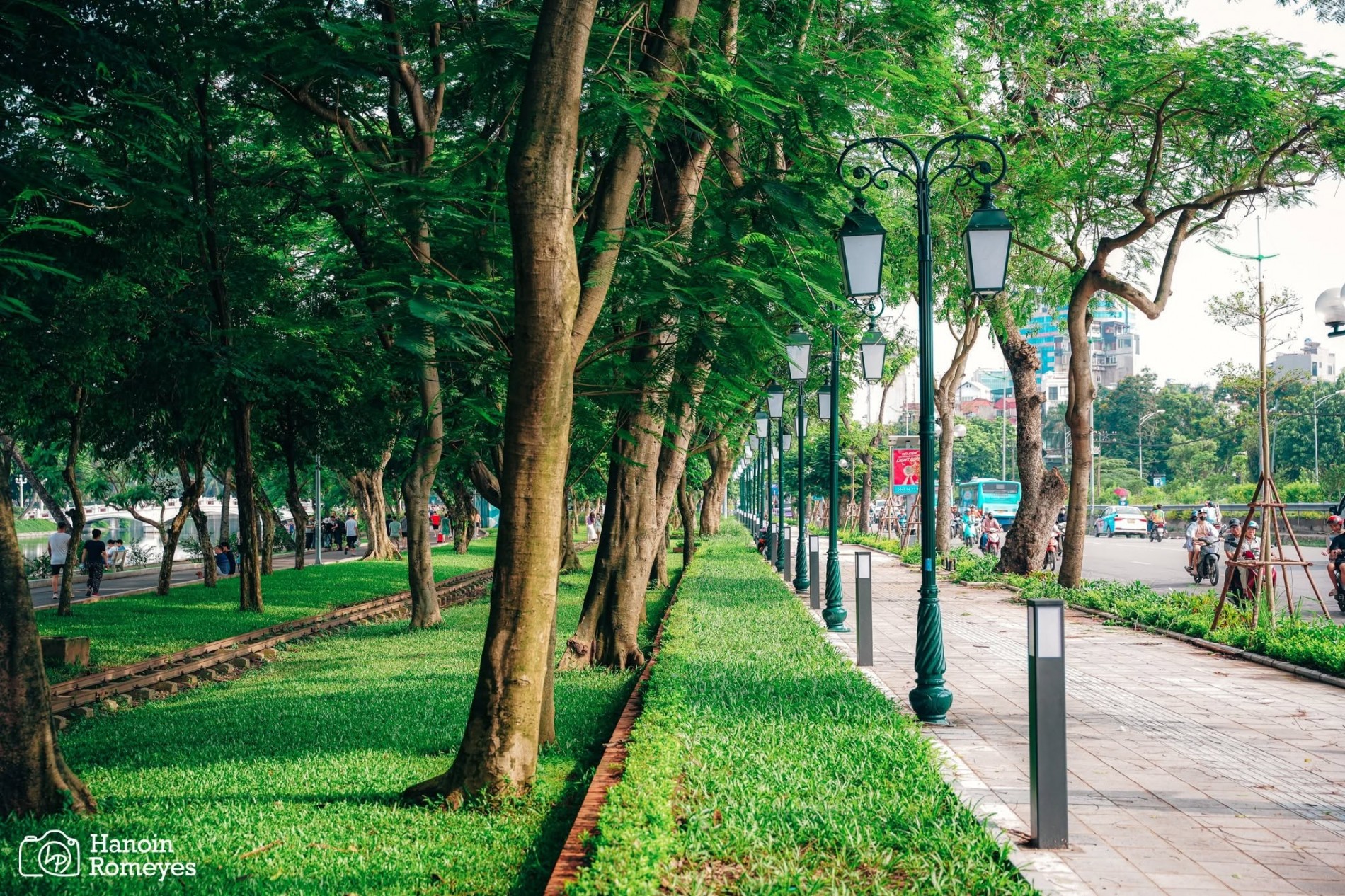 Không gian xanh đô thị: Cây hoa có thể làm nên một thành phố đẹp đến mức nào?