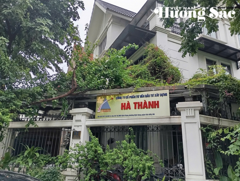 Công ty Hà Thành tham gia nhiều dự án duy trì, chăm sóc cảnh quan, hoa cảnh, cây xanh đô thị