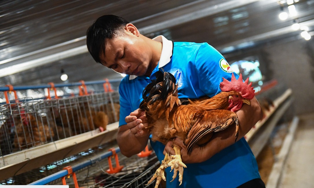 Chọn đúng cây, nuôi đúng con: Làm nông kiểu mới nơi vùng cao