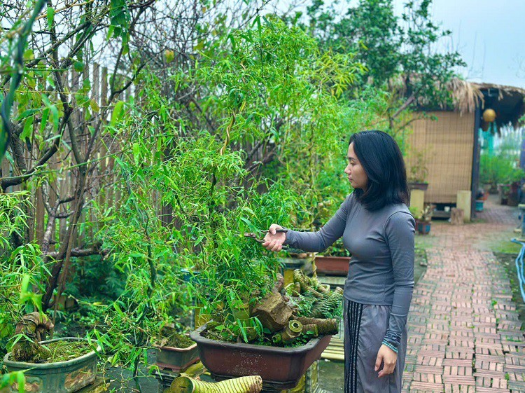 Tre Bonsai: Từ loại cây quê mùa đến tác phẩm đậm hồn dân tộc