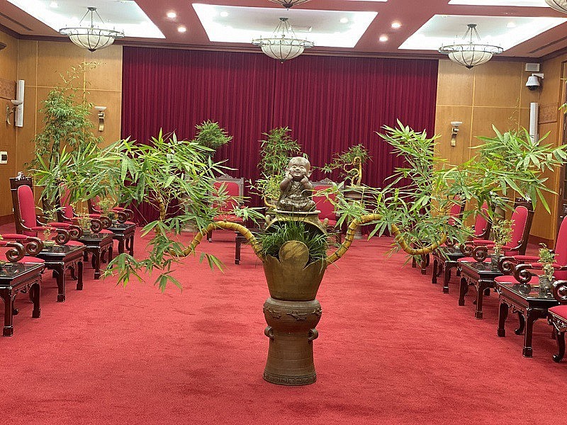 Tre bonsai: Từ loại cây "quê mùa" đến tác phẩm đậm hồn dân tộc