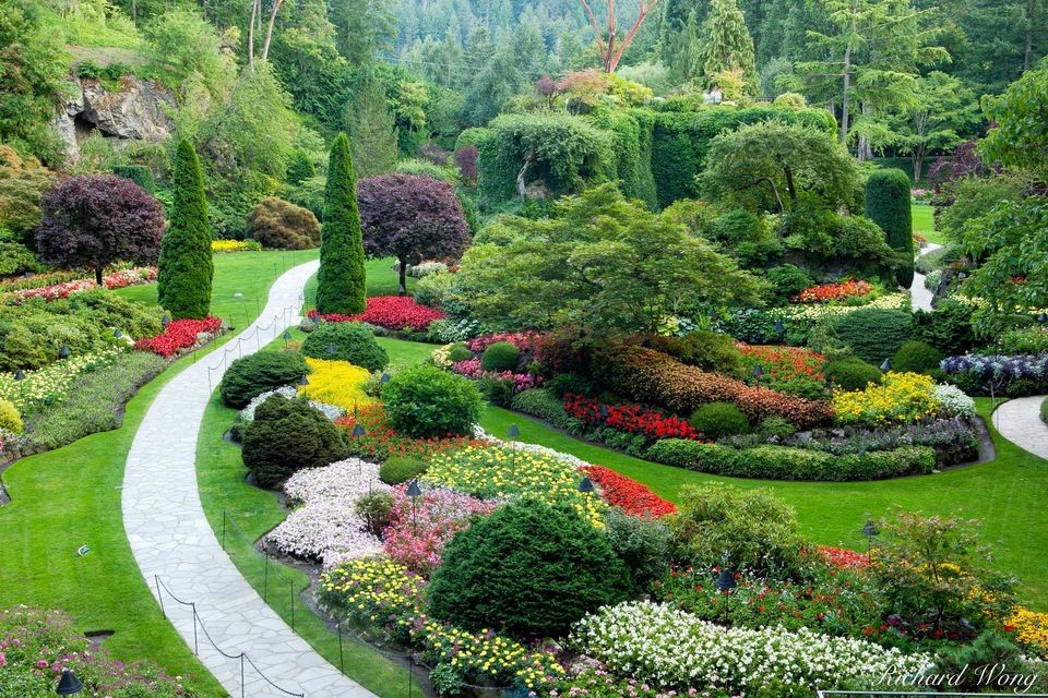 Một lần ghé thăm là nhớ cả đời: Những thiên đường hoa rực rỡ nhất hành tinh
