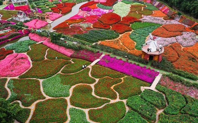 Thiên đường sen và thung lũng hoa giữa lòng Thủ đô