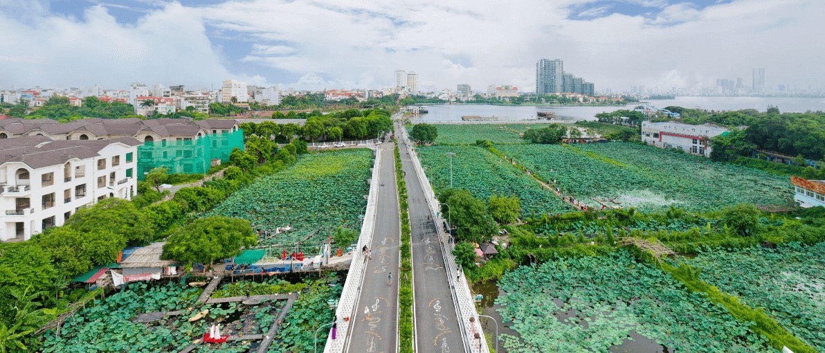 Thiên đường sen và thung lũng hoa giữa lòng Thủ đô