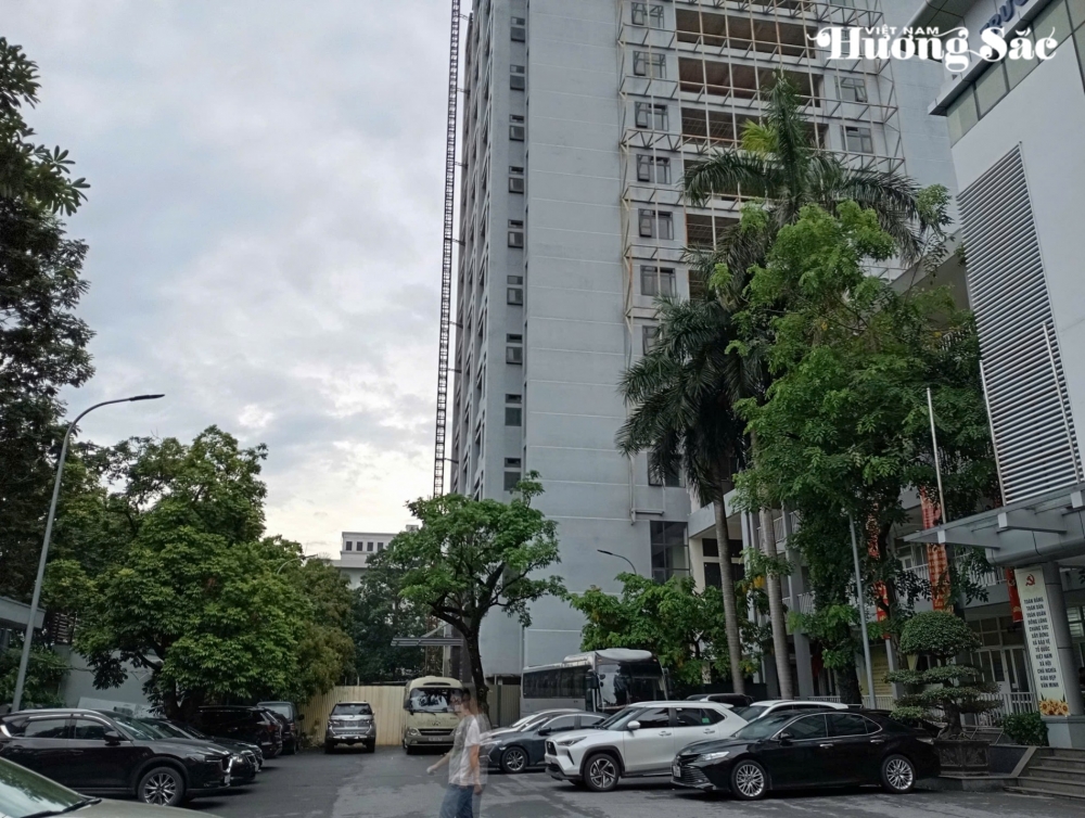 Cơ sở cây cảnh Xuân Dậu trúng dự án tại Trường Đại học Điện lực