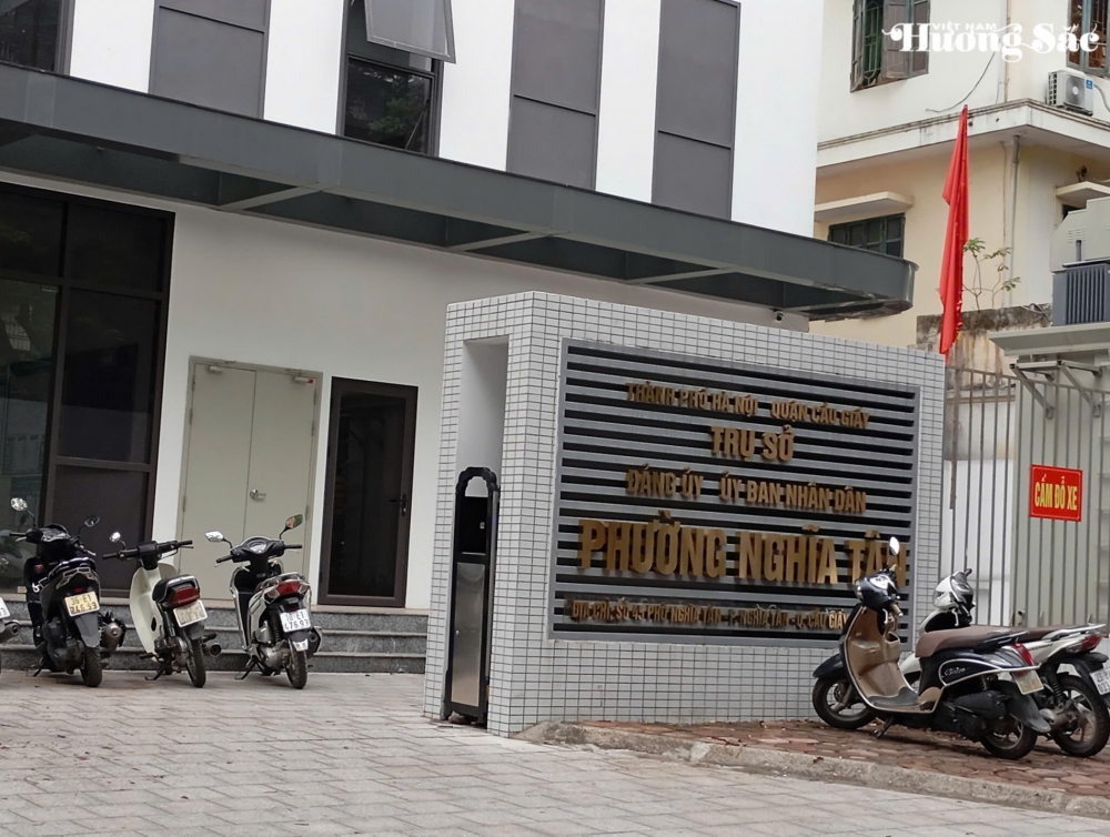Cơ sở cây cảnh Xuân Dậu trúng dự án tại Trường Đại học Điện lực