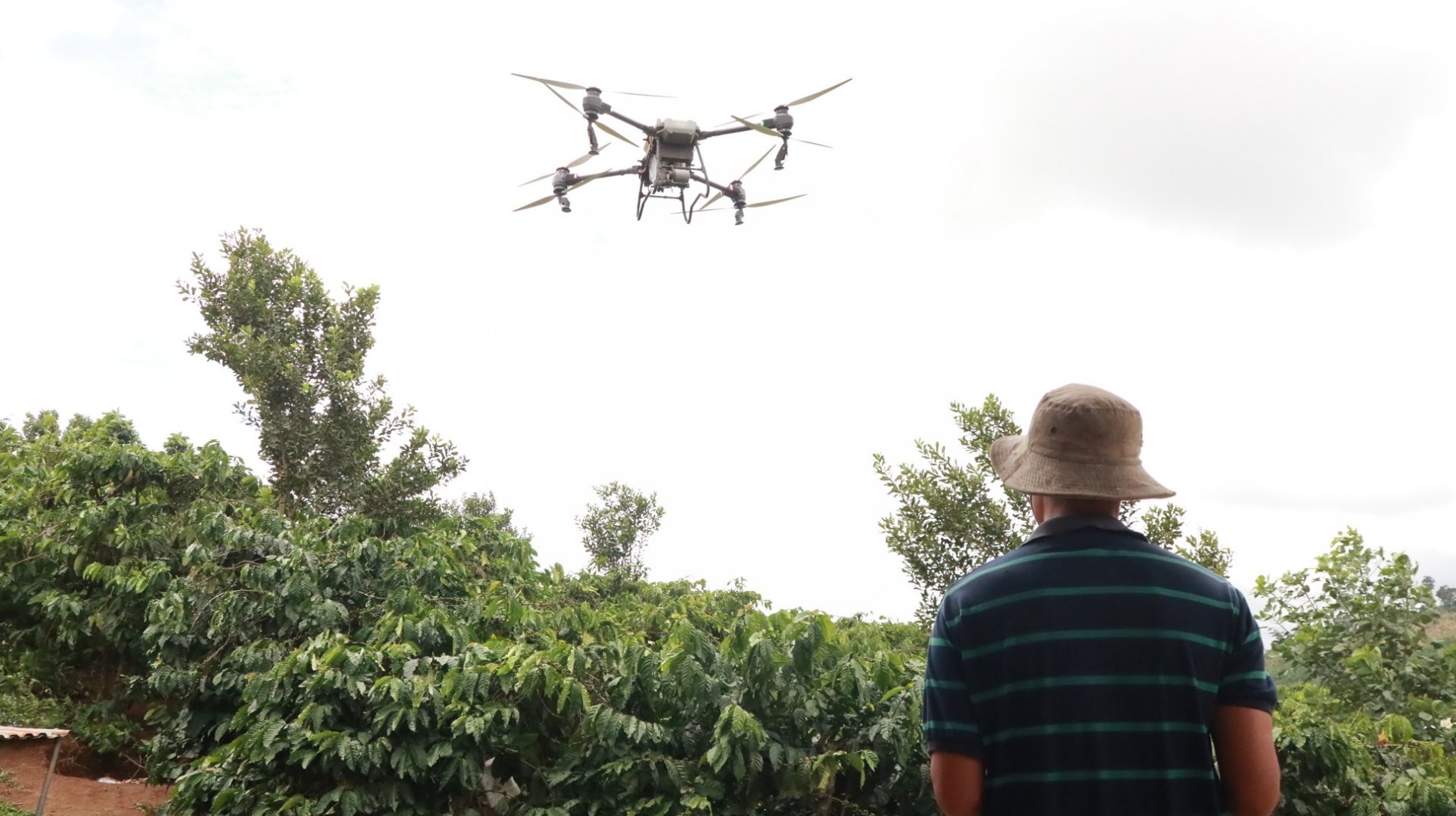 Nông dân Việt ứng dụng drone: Tăng hiệu quả, tiết kiệm sức lao động