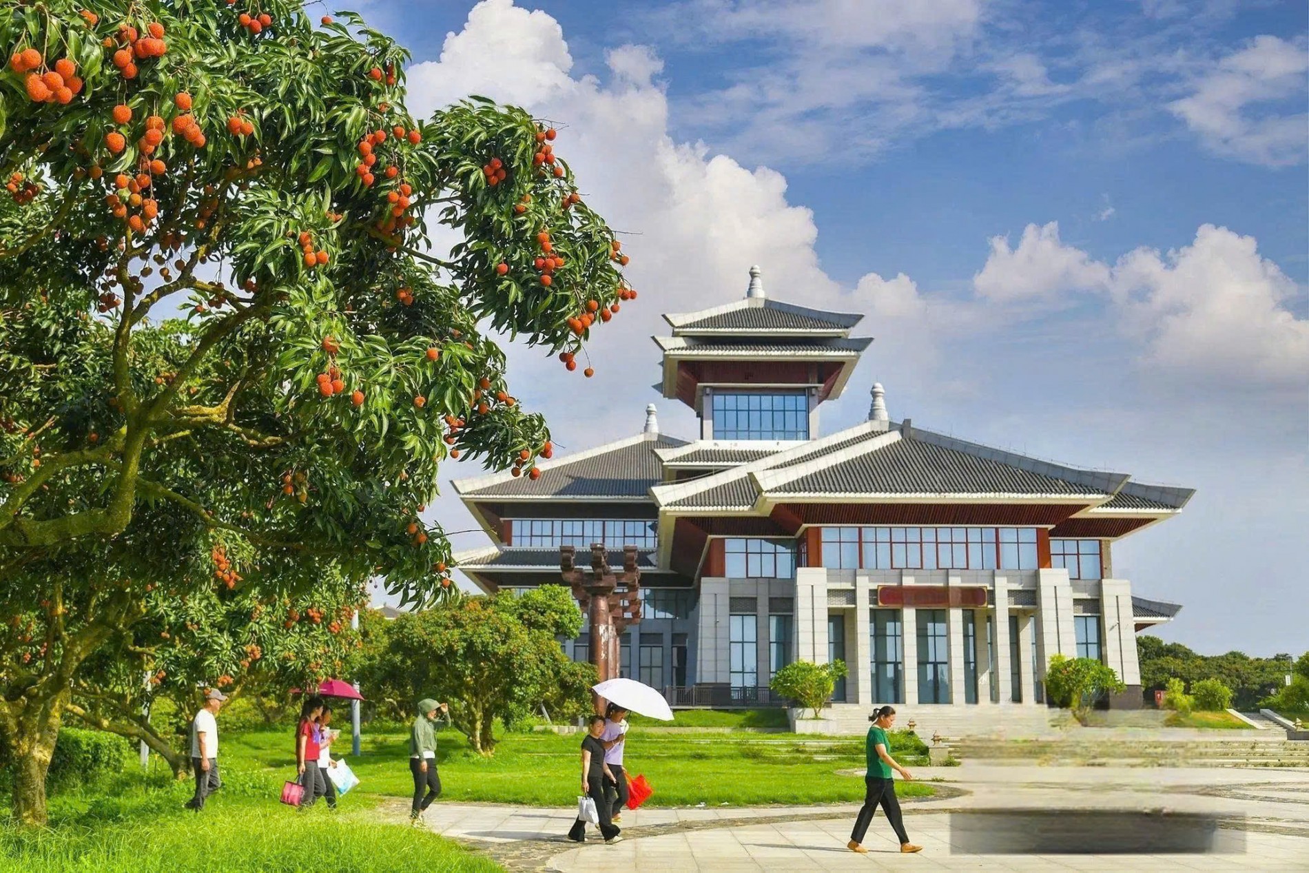 1,3 tỷ lượt xem: Vải thiều thành siêu sao mạng xã hội Trung Quốc, đưa nông nghiệp - văn hóa - du lịch cùng bứt phá