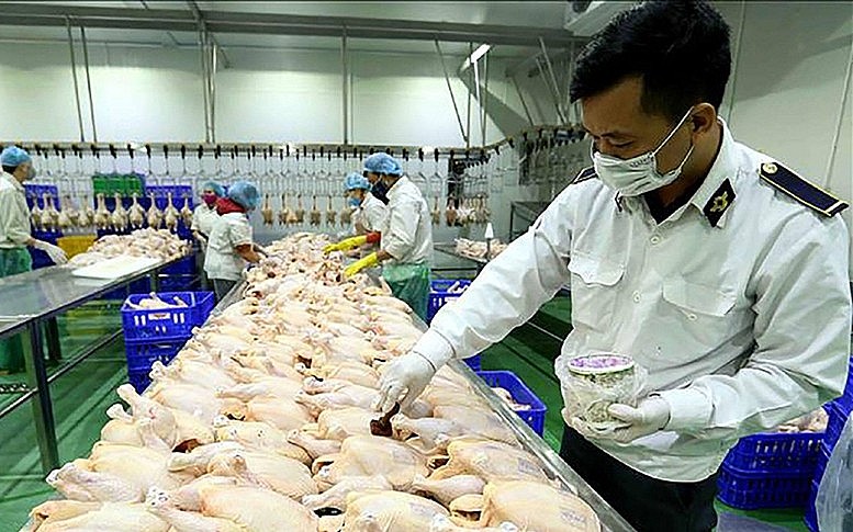 Cập nhật quy định kiểm dịch: Thông tư số 28/2025/TT-BNNMT có hiệu lực từ ngày 1/7/2025