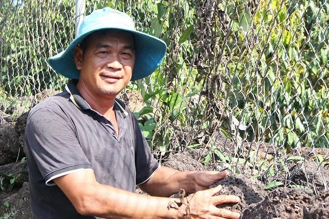 Bán 5 cây vàng trồng "cây tỷ đô" trên đất đá, nông dân Đồng Nai lãi hơn 2 tỷ mỗi năm