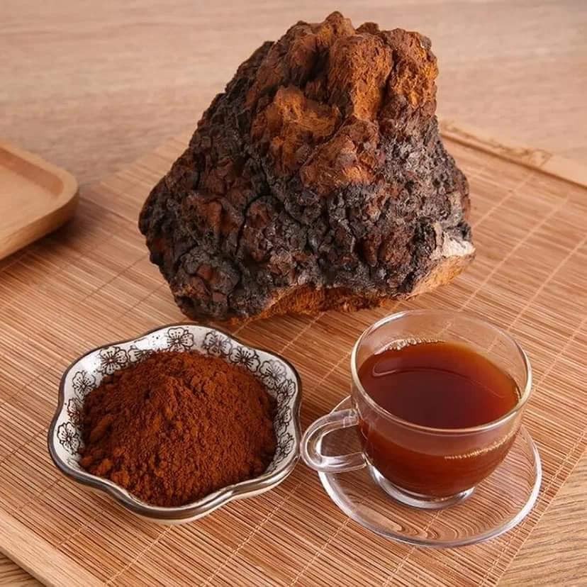Không phải linh chi hay đông trùng, đây mới là loại nấm khiến thế giới chú ý!