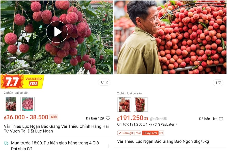 Vải thiều Lục Ngạn 2025: Mùa ngọt đậm, xuất khẩu mạnh, thương hiệu vẫn giữ nguyên