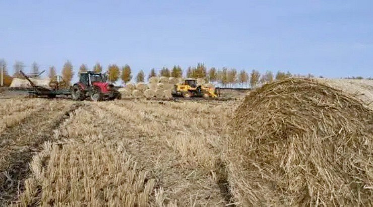 Trung Quốc: Nông dân biến thứ rơm rạ bỏ đi thành món hàng ai cũng mua