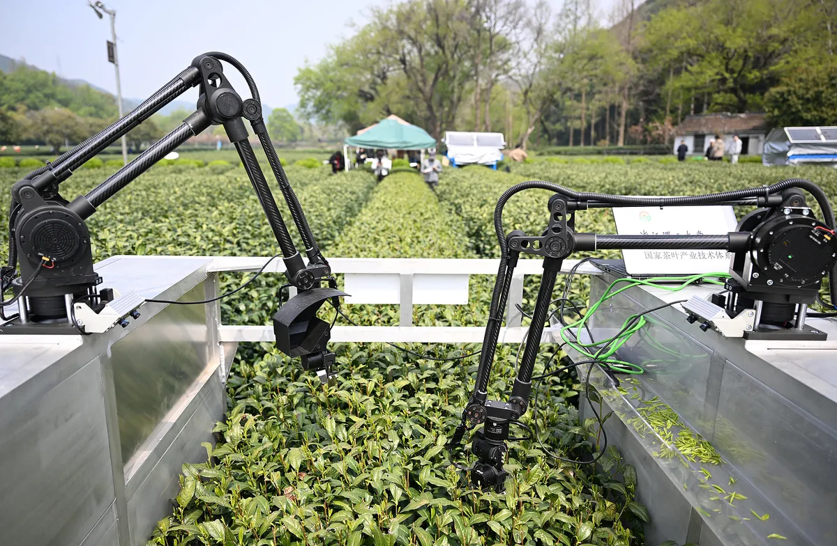 AI đang viết lại diện mạo nông thôn Trung Quốc như thế nào?