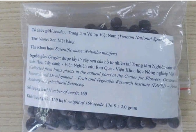 Hạt sen Việt Nam bay vào không gian: Ươm mầm ước mơ giữa dải ngân hà