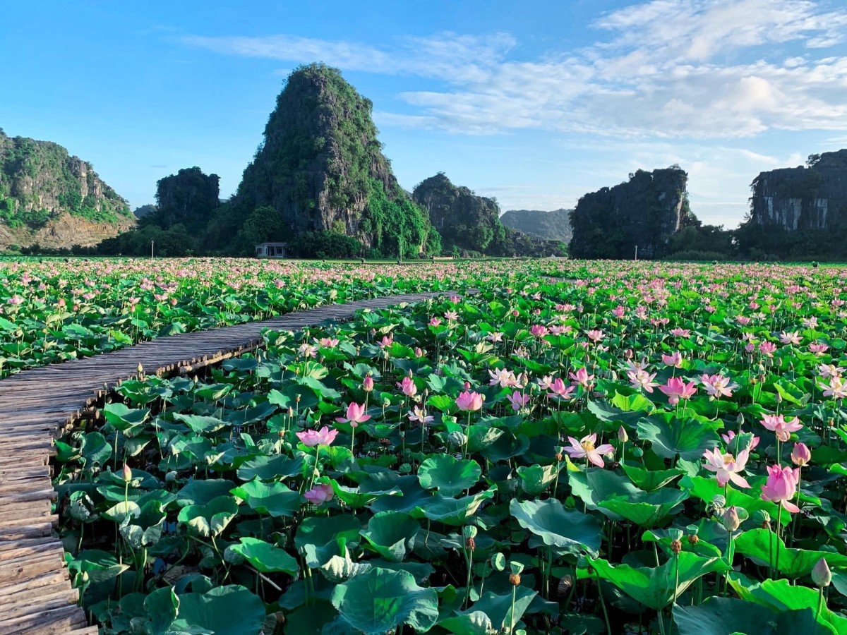 Hạt sen Việt Nam bay vào không gian: Ươm mầm ước mơ giữa dải ngân hà