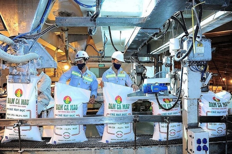 Doanh nghiệp phân bón nào hưởng lợi nhất khi giá dầu giảm và chính sách thuế GTGT mới có hiệu lực?