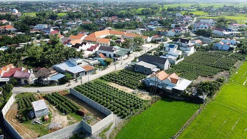 Làng nghề hoa cúc Ninh Giang: Giữ nghề trong cơn sóng chợ