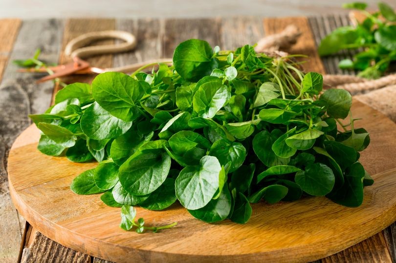 “Siêu thực phẩm” rẻ tiền ở chợ Việt, đứng đầu bảng dinh dưỡng toàn cầu