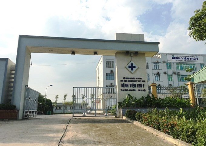 Thị trường thú cưng Việt Nam: Phát triển đa dạng nhưng cần kiểm soát