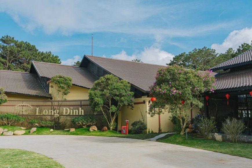 Vùng trồng chè đặc sản ở Việt Nam: Di sản từ đất, tinh túy từ bàn tay người làm trà