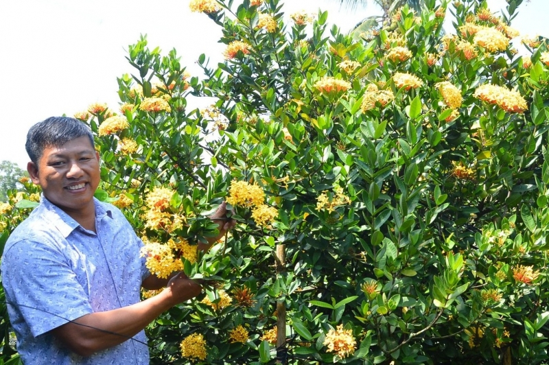 Nông dân Đồng Tháp đi lạc, tình cờ phát hiện loài hoa lạ - giờ là báu vật sân vườn