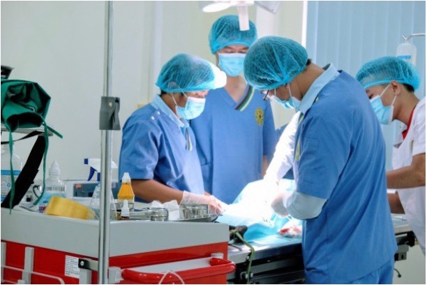 Một số điều kiện hành nghề lĩnh vực thú y đối với cá nhân và tổ chức theo Luật Thú y