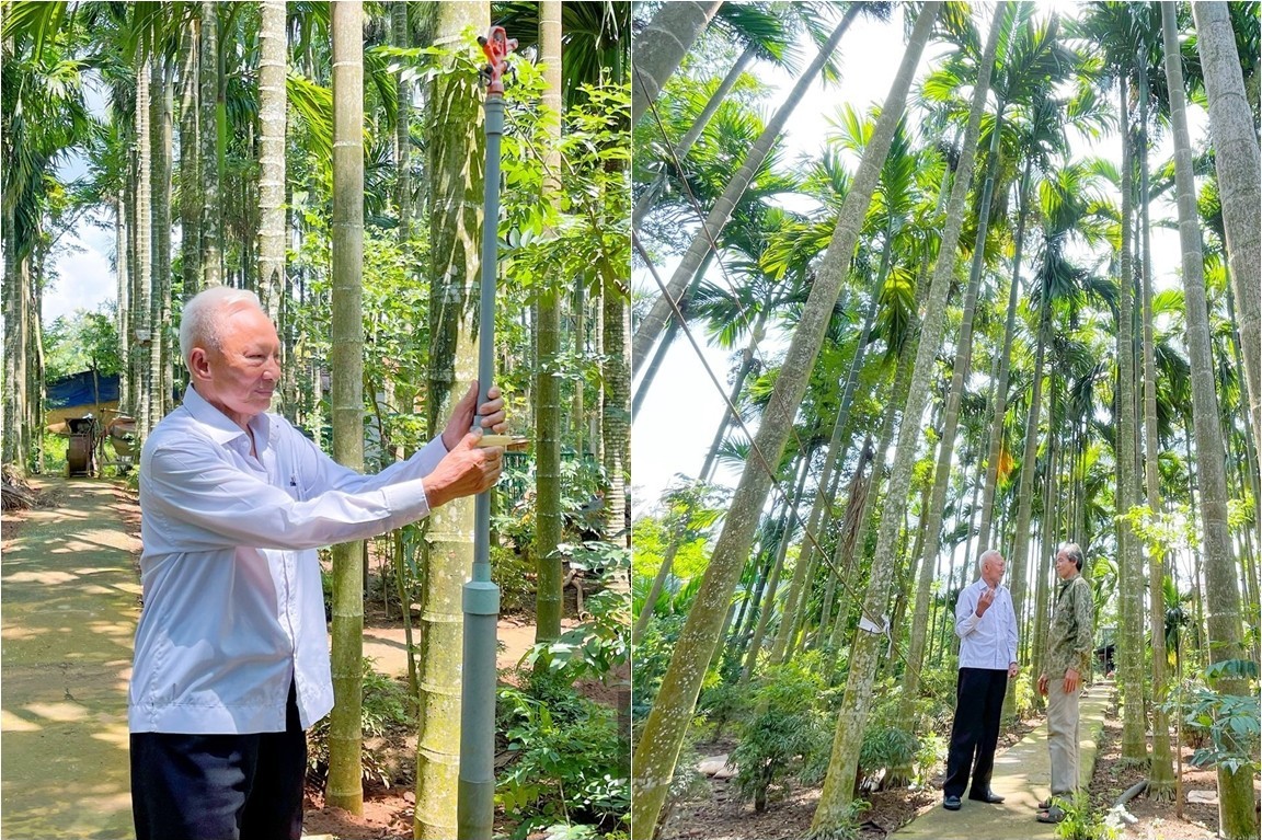 Ông lão Đắk Lắk trồng thứ cây “cũ rích” mà kiếm hơn 1 tỷ đồng/năm