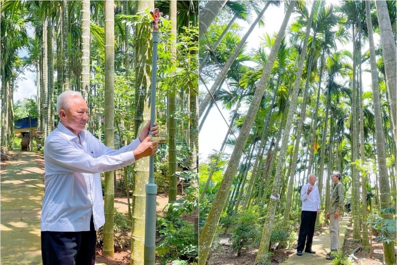 Ông lão Đắk Lắk trồng thứ cây “cũ rích” mà kiếm hơn 1 tỷ đồng/năm