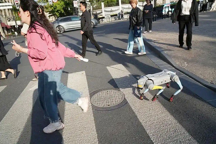 “Nuôi” thú cưng không cần cho ăn, không rụng lông, không lo bị cắn, kiếm tiền triệu mỗi ngày