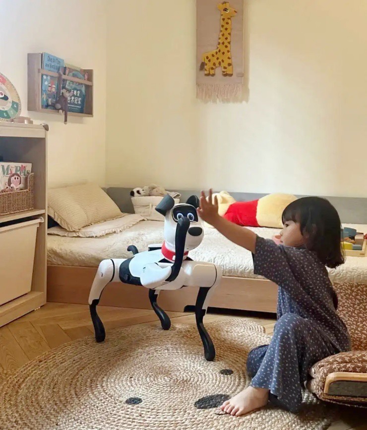 “Nuôi” thú cưng không cần cho ăn, không rụng lông, không lo bị cắn, kiếm tiền triệu mỗi ngày