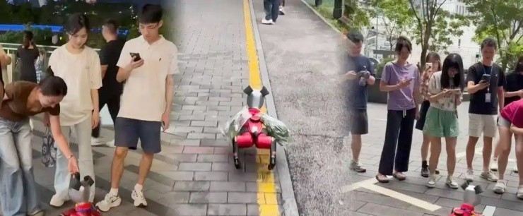 “Nuôi” thú cưng không cần cho ăn, không rụng lông, không lo bị cắn, kiếm tiền triệu mỗi ngày