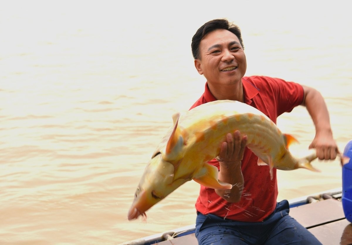Cá tầm 