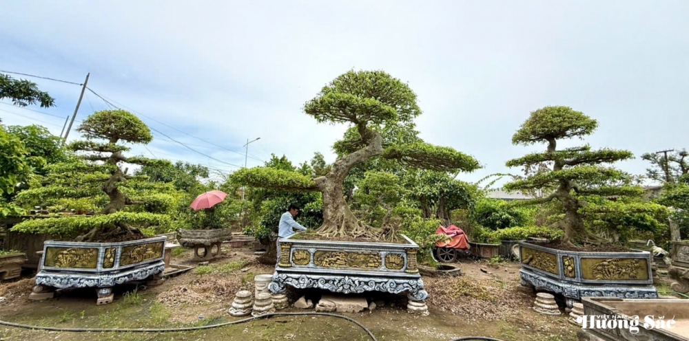 Nghệ nhân Vũ Tấn Phúc: Người gửi hồn vào cây với hơn 18 năm tâm huyết tạo tác